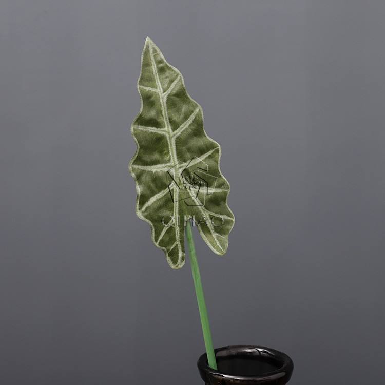 เขียว-เล็ก