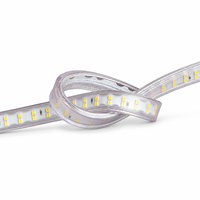 NEXCELL 3000K Warm White IP65 Lampu LED Strip Konstruksi PVC 50m Roll Fleksibel Tegangan Tinggi