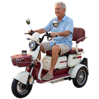 Tricycle Électrique Familial en Gros, Autonomie 70 km, Batterie Plomb-Acide 60V32AH, Moteur 1000W, Vélo Électrique Adulte, Scooter Tricycle à 3 Roues