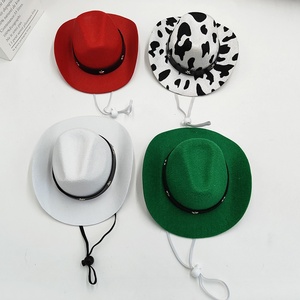 Chapeau de cowboy occidental Baboney avec motif de dessin animé pour fête d'anniversaire, protection solaire toutes saisons, mini chapeau en feutre pour chiens et chats - Product Image 3