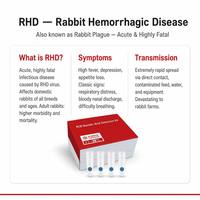 Kit de Prueba PCR de Ácido Nucleico para la Enfermedad Hemorrágica del Conejo (RHD), Certificado CE Clase II, Preciso para Granjas y Hospitales Veterinarios, 1 Año de Duración