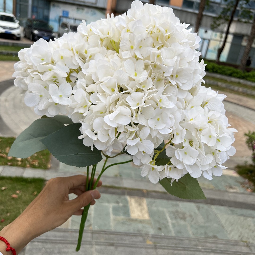Pure White