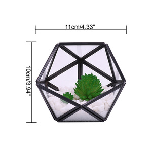 Grosir Set Wadah Terarium Geometris Kaca Mini dari 3 Rak Penanam Meja Modern Kotak Tampilan Dekorasi Hadiah Tengah Meja - Product Image 3