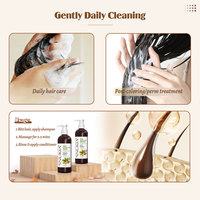 Shampooing au gingembre à base de plantes de marque privée Revitalisant anti-chute de cheveux Renforce les cheveux Épaisseur des cheveux Croissance des cheveux Gingembre naturel biologique