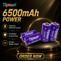 Cellules de batterie LiFePO4 Tipsun 32650/32700 6500mAh 3.2V avec bornes - 2000 cycles pour véhicules électriques et outils électriques