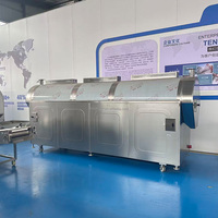 Machine à torréfier les noix et les cacahuètes entièrement automatique, machine à torréfier les noix à tambour rotatif