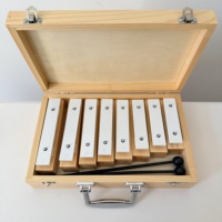 Wooden Box 8-Key Metal Xylophone Glockenspiel for Orff School Teaching & Kids Learning