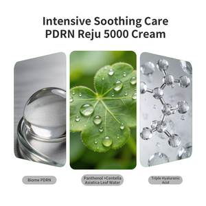 Crème PDRN REJU 5000 OEM/ODM, apaisante pour les peaux irritées et sensibles, anti-âge, écran solaire, hydratant pour le visage, pour tous types de peaux, coréen - Product Image 5
