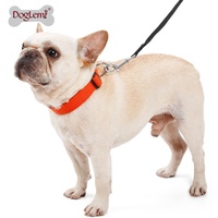 Conjunto de correa de collar de perro de nailon de algodón de alta calidad logotipo personalizado liberación rápida estilo moderno reflectante