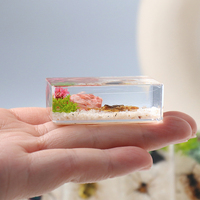 Presse-papiers avec véritable spécimen de scorpion, 4,4 x 2,8 cm, profil fin, insectes en résine transparente, décoration de bureau éducative, cadeau unique