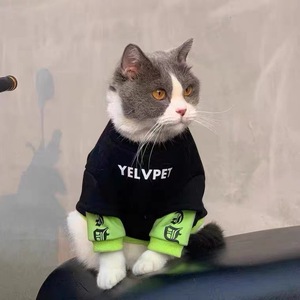 YELVPET Sweat à capuche pour animaux de compagnie, imprimé lettres noir et vert, vêtements confortables pour chats et chiens, tailles XS S M L XL, mode automne-hiver - Product Image 3