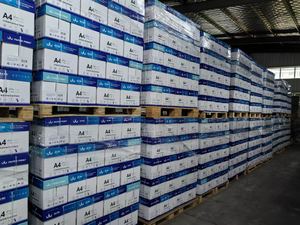 <span class=keywords><strong>Papel</strong></span> de Copia <span class=keywords><strong>A4</strong></span> al por Mayor para Escuelas y Oficinas Corporativas - Product Image 4