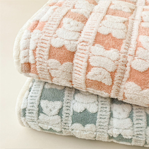 Vente en gros de couverture cationique double couche épaissie pour l'hiver Couverture en laine d'agneau composite Couverture pour enfants - Product Image 3