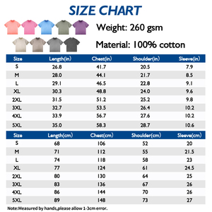 T-shirt Homme Vintage Oversize en Coton 260 g/m² Imprimé DTG, Effet Délavé et Vieilli, Style Streetwear - Product Image 5