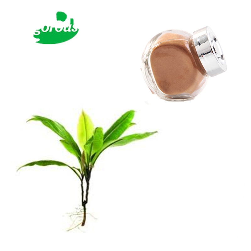 Натуральный Порошок Экстракта каципа Фатима 20:1, губы пумила, кацип Фатима