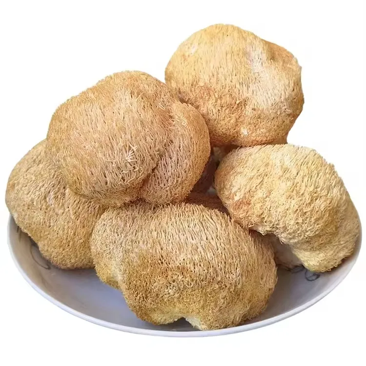 Cogumelos Hericium Secos naturais de alta qualidade, os melhores cogumelos secos de gaivota de leão