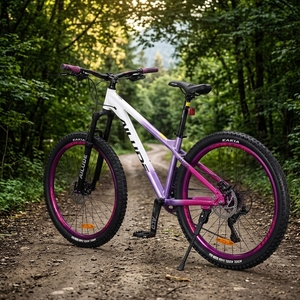 Oferta Destacada: Bicicleta de Montaña para Dirt Jump con Eje de Cassette de 120 Puntos de Contacto para Descenso en Seco, Atractivo Diseño, Cuadro Desmontable de Aluminio ALD-AM100, Fácil Personalización - Product Image 2