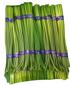 <span class=keywords><strong>Tige</strong></span> de pousse d'<span class=keywords><strong>ail</strong></span> vert de haute qualité nouvelle récolte de pousses d'<span class=keywords><strong>ail</strong></span> frais - Product Image 1