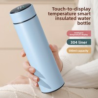 Thermos intelligent en acier inoxydable 304 avec affichage de la température, 500 ml, isolation sous vide, bouteille avec infuseur à thé, maintien thermique de 6 à 12 heures