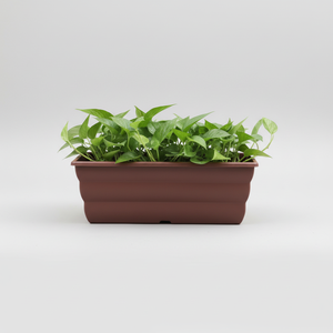 CASAMAX WL AM-0471-1 Vasi Quadrati in Plastica Durevoli per Giardino con Foro di Drenaggio per Casa Premium Classici Ecologici - Product Image 2