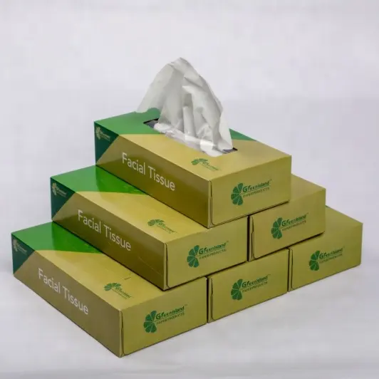 Greenisland Tisu Wajah, Kotak Tisu Penyerap Lembut Kebersihan Wajah
