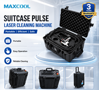Machine de nettoyage au laser pulsé portable 200W 300W 500W, nettoyeur laser portatif en forme de valise pour l'élimination de la rouille sur métal, du bois, de la peinture et du vernis