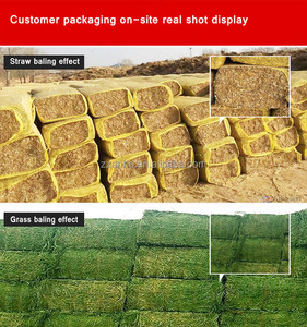 Presse à balles hydraulique carrée <span class=keywords><strong>de</strong></span> grande taille avec moteur et moteur, compacteur haute efficacité pour l'herbe <span class=keywords><strong>de</strong></span> luzerne, la paille, les balleines <span class=keywords><strong>de</strong></span> riz, l'herbe - Product Image 6