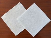 Géotextile en plastique PP polypropylène blanc de haute qualité pour les applications de remblai de route de jardin de barrage de drainage