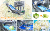Sus 304 Saladeverwerkingsmachine, Saladesnijder, Apparatuur voor het wassen en snijden van koolsalade