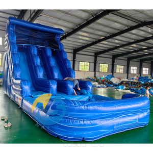 Toboggan aquatique gonflable commercial pour jardin, double piste, motif vague bleue, pour adultes, à vendre - Product Image 1