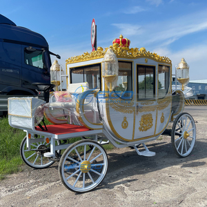 Calèche électrique personnalisée en acier pour mariages royaux et visites touristiques, capacité 6 personnes - Product Image 5