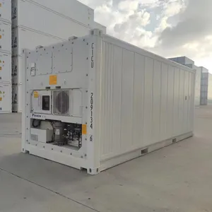 20 Feet Cold Storage Room Work-in Freezer Container with US Brand New Thermo King Carrier Daikin Refrigeration System Unit