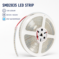 Bande lumineuse LED flexible SMD2835 120LEDs/M DC12V 24V IP67 étanche pour l'éclairage architectural extérieur et paysager
