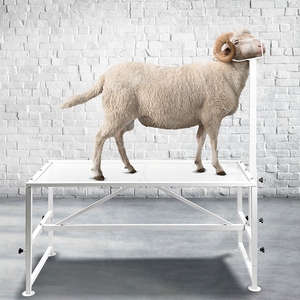 Support de traite de chèvres de lit Support de coupe de bétail Un support de chèvres pour couper les sabots et tondre les moutons - Product Image 1