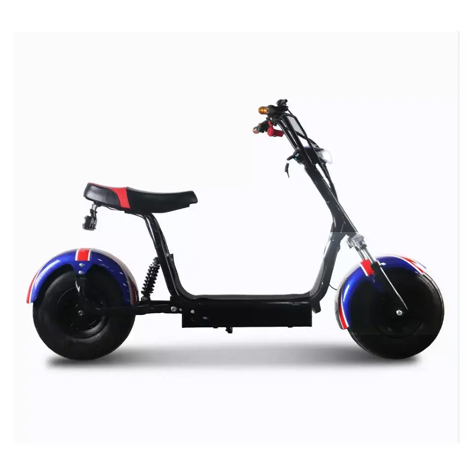 Adult Fat Tire Elektro roller 2000W Premium Elektromotor rad Zur Lieferung