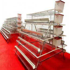 Cage à batterie pour poules pondeuses de qualité supérieure, galvanisée, type 3/4, 96/128 œufs, élevage de poulets, à vendre - Product Image 3