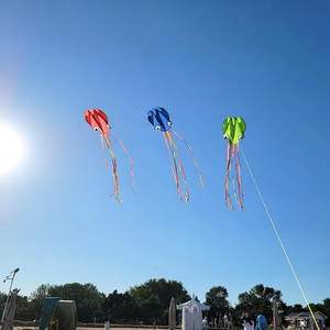 Beau grand cerf-volant de plage Easy <span class=keywords><strong>Flyer</strong></span> jouet grand poulpe cerfs-volants volants pour enfants et adultes - Product Image 4