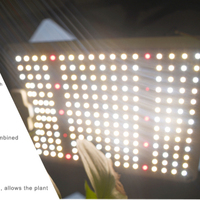 Led tam spektrum şerit Cob Watt topraksız Par bitki yetiştirme lambaları çubukları katlanabilir Gavita Bar S Uv Ir kapalı bitkiler ışık