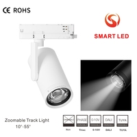 Projecteur de musée d'hôtel 2700K-6500K CCT couleur changeante 10W-30W éclairage sur rail LED avec accessoires de zoom corps de lampe en aluminium