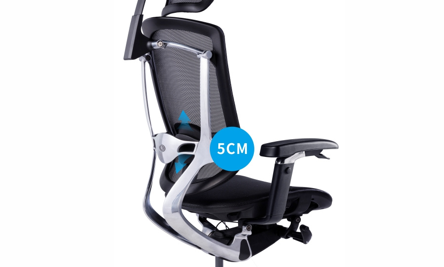 Lift Ergonomic Office Chair Black PA Frame High End True Design