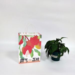 Bolsa de Papel Kraft Blanca con Impresión Completa, Materiales Reciclados, Embalaje para Bebidas, Bolsa para Llevar Comida, Asa Larga, Logotipo OEM, Té - Product Image 3