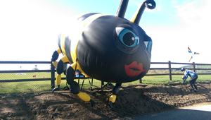 Bébé <span class=keywords><strong>coccinelle</strong></span> noir et rouge gonflable bon marché sur une feuille, tissu Oxford sauter modèle <span class=keywords><strong>coccinelle</strong></span> <span class=keywords><strong>acheter</strong></span> directement auprès des usines gonflables - Product Image 2