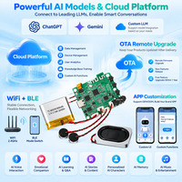 Solution de module de modèle IA AISK pour jouet en peluche IA avec chat vocal, compagnon émotionnel, personnage personnalisé ChatGPT Gemini Custom