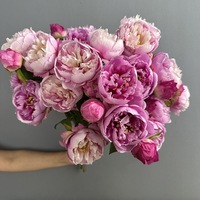 Bunga Peony Sutra Berkualitas Tinggi YM, 2 Kepala Bunga Peony Buatan untuk Dekorasi Pernikahan dan Rumah