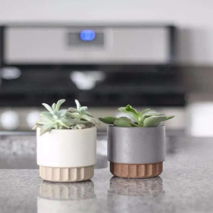 New design home tabletop decoration succulent bonsai pot nordic style ceramic mini cactus pots