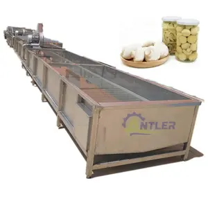 Fully stainless steel canned mushroom production line