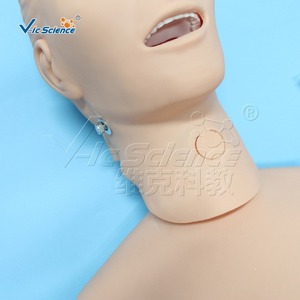 Maniquí combinado para práctica de enfermería masculina, cateterización intravenosa, modelo de enseñanza de primeros auxilios y RCP - Product Image 4
