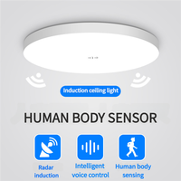 Technologie intelligente de détection humaine Plafonnier à capteur LED étanche pour couloir et escaliers avec fonction d'induction de mouvement