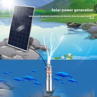 Pompe submersible à vis en acier inoxydable 304 à énergie solaire, haute pression, haut débit, OEM, 24V DC, alimentée par batterie