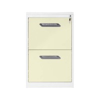 Muebles de Oficina, Archivador de Acero con 2 Cajones, Archivador Vertical de Metal para Documentos